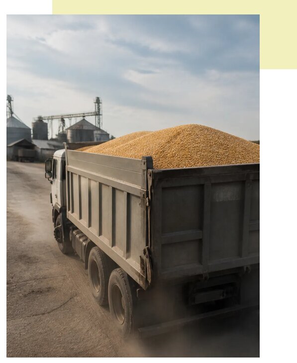 Перевозка сельхозпродукции навалом в Чайковского по цене от 3036 р. | Агросервис-Чкв