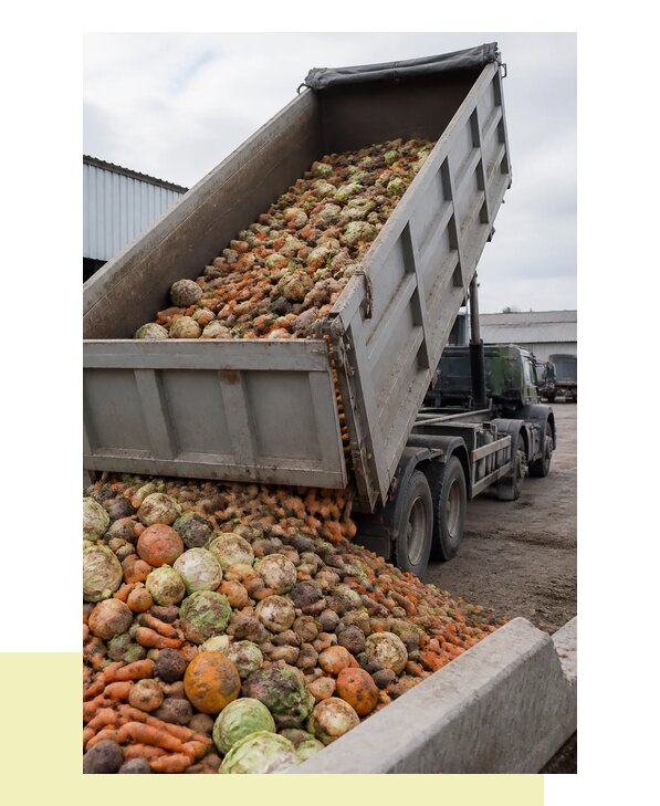 Перевозка овощей навалом с доставкой автотранспортом в Чайковского
